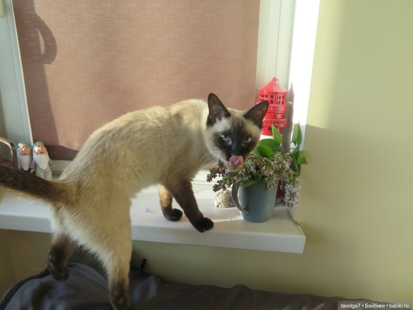 Наш холодный апрель-май 2025