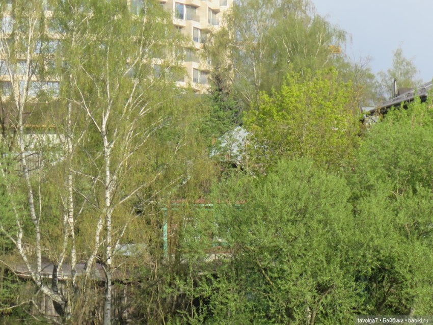 Наш холодный апрель-май 2025