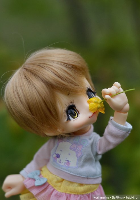 Настал ее день — Куклы Azone (Азон) и тела Pure Neemo: фото