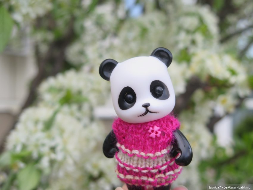 Наш холодный апрель-май 2025