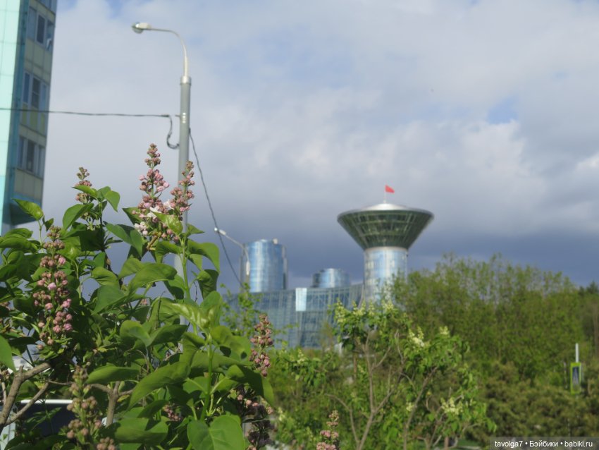 Наш холодный апрель-май 2025 (фото 5)