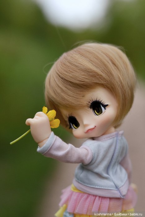 Настал ее день — Куклы Azone (Азон) и тела Pure Neemo: фото