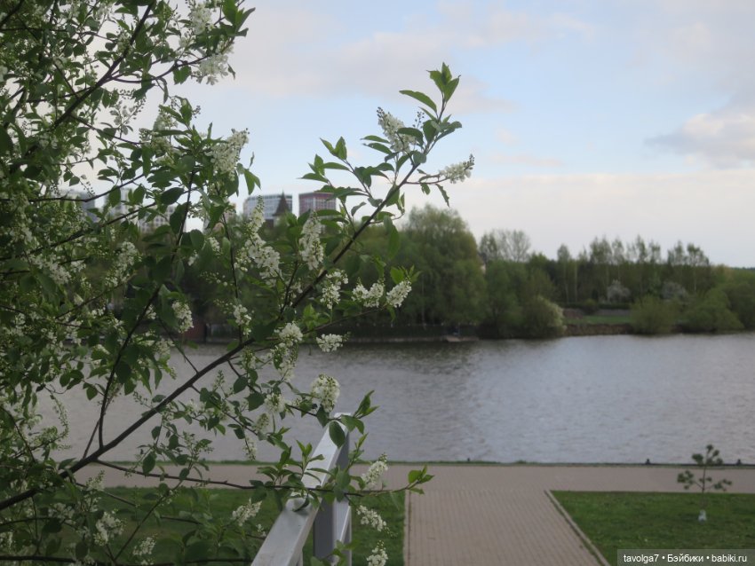 Наш холодный апрель-май 2025