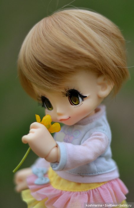 Настал ее день — Куклы Azone (Азон) и тела Pure Neemo: фото