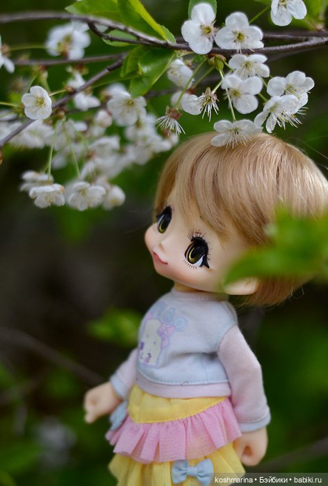 Настал ее день — Куклы Azone (Азон) и тела Pure Neemo: фото
