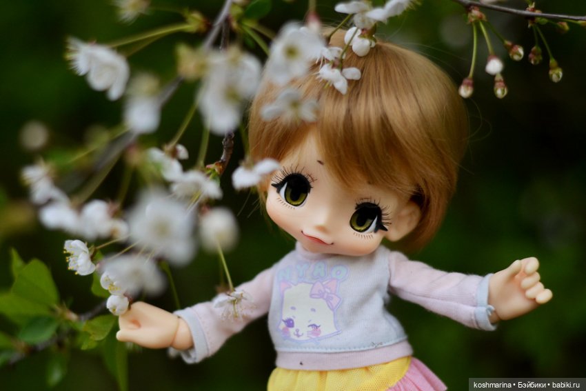 Настал ее день — Куклы Azone (Азон) и тела Pure Neemo: фото