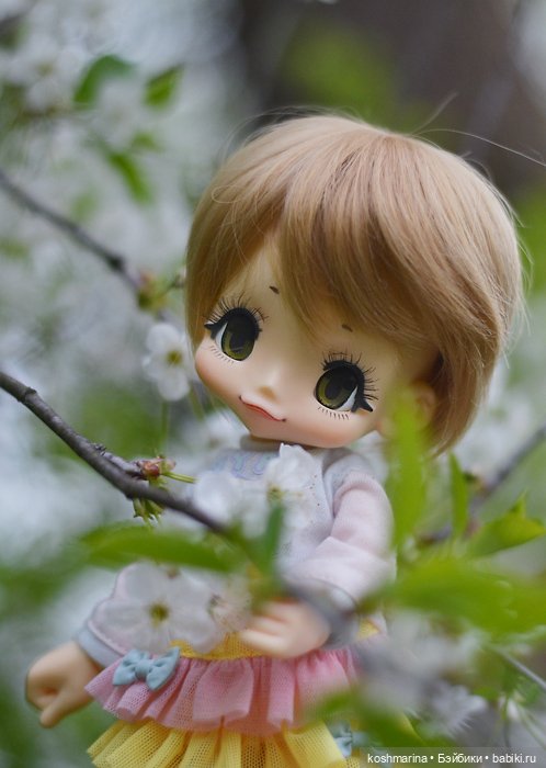 Настал ее день — Куклы Azone (Азон) и тела Pure Neemo: фото