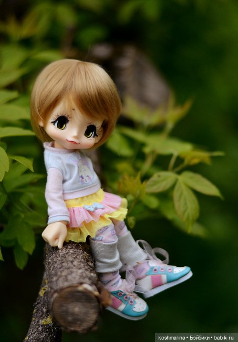Настал ее день — Куклы Azone (Азон) и тела Pure Neemo: фото