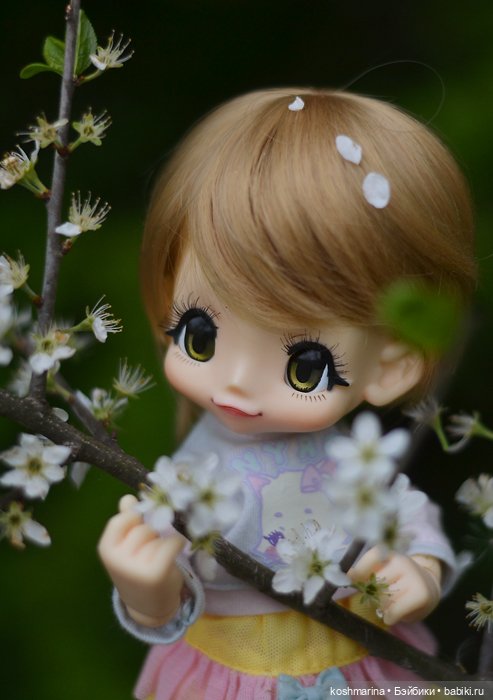 Настал ее день — Куклы Azone (Азон) и тела Pure Neemo: фото (фото 5)