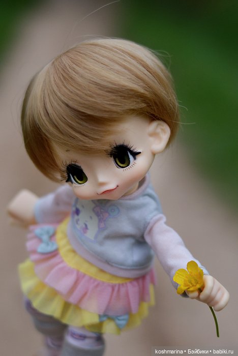 Настал ее день — Куклы Azone (Азон) и тела Pure Neemo: фото