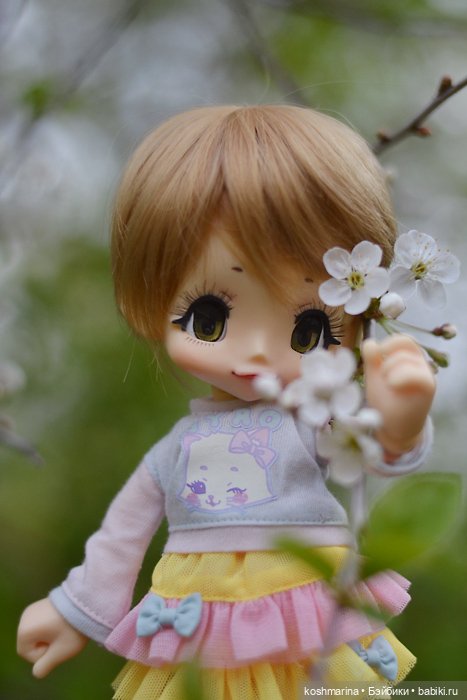 Настал ее день — Куклы Azone (Азон) и тела Pure Neemo: фото