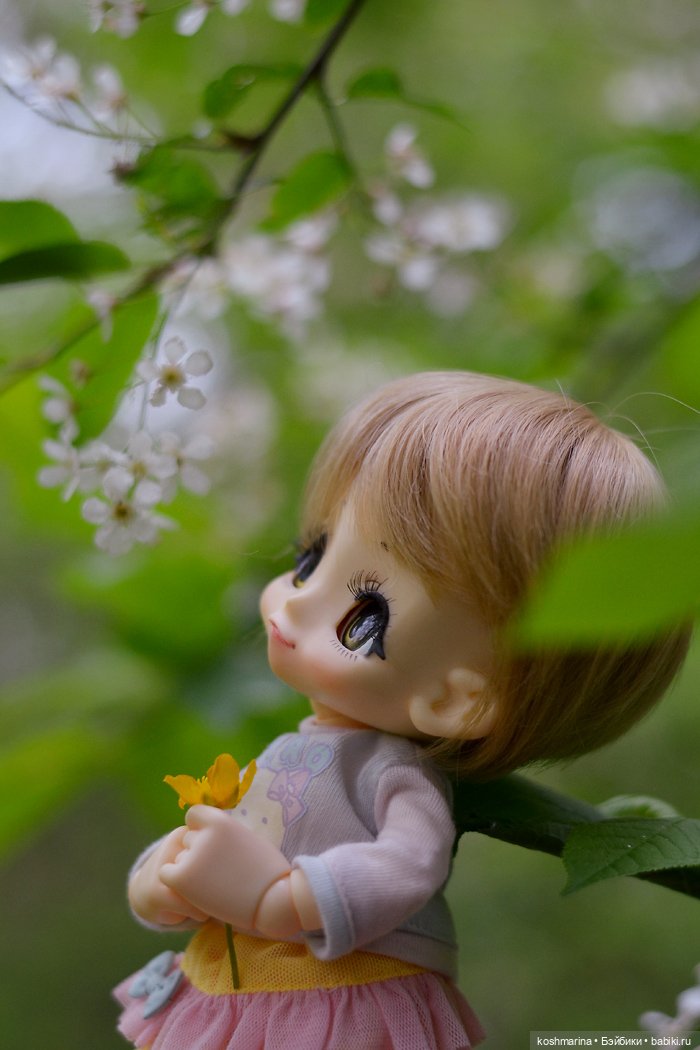 Настал ее день — Куклы Azone (Азон) и тела Pure Neemo: фото