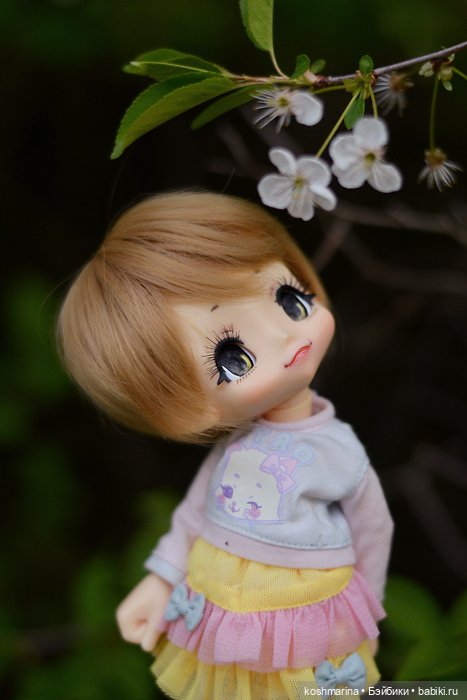 Настал ее день — Куклы Azone (Азон) и тела Pure Neemo: фото