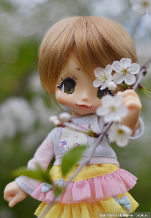 Настал ее день — Куклы Azone (Азон) и тела Pure Neemo: фото