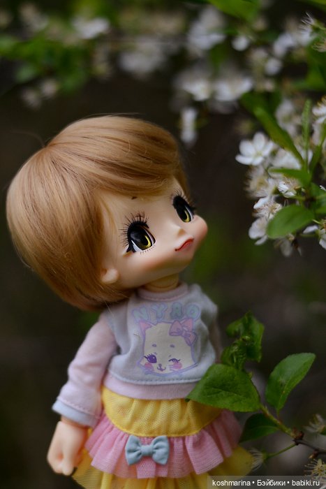 Настал ее день — Куклы Azone (Азон) и тела Pure Neemo: фото (фото 8)