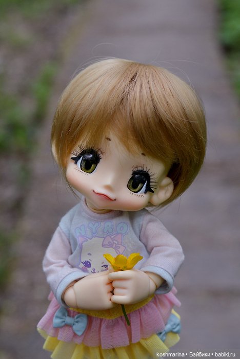 Настал ее день — Куклы Azone (Азон) и тела Pure Neemo: фото