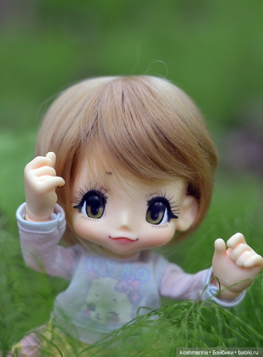 Настал ее день — Куклы Azone (Азон) и тела Pure Neemo: фото