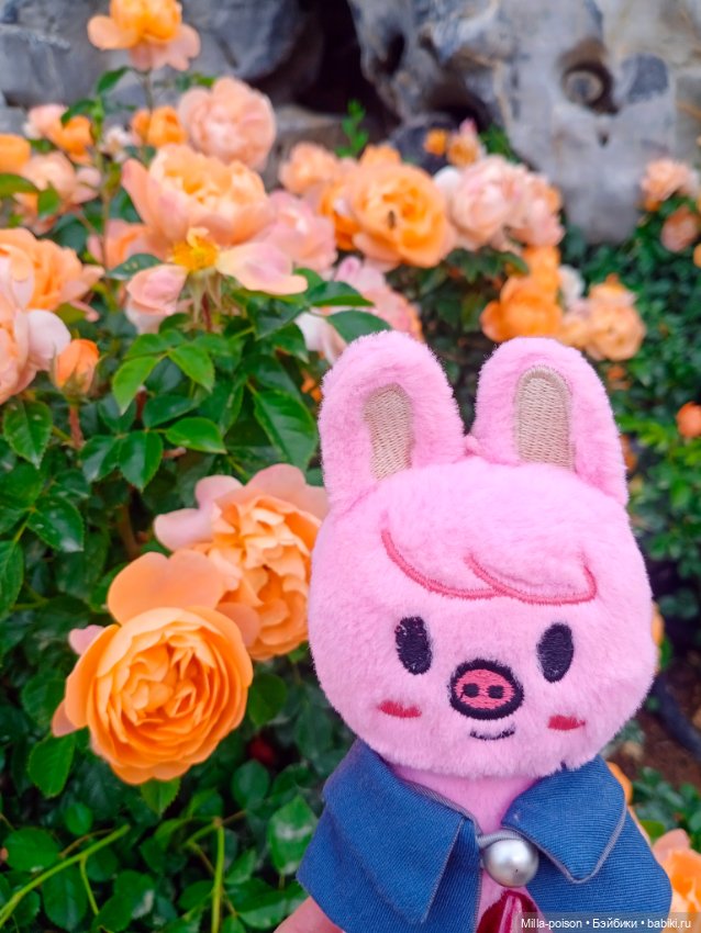 Dwaekki на прогулке в парке Нанчан