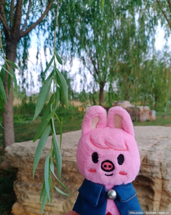 Dwaekki на прогулке в парке Нанчан (фото 5)