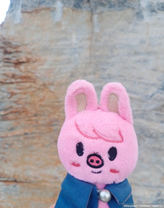 Dwaekki на прогулке в парке Нанчан (фото 2)