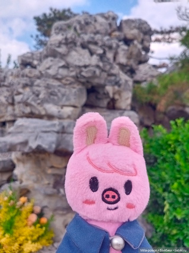 Dwaekki на прогулке в парке Нанчан (фото 9)