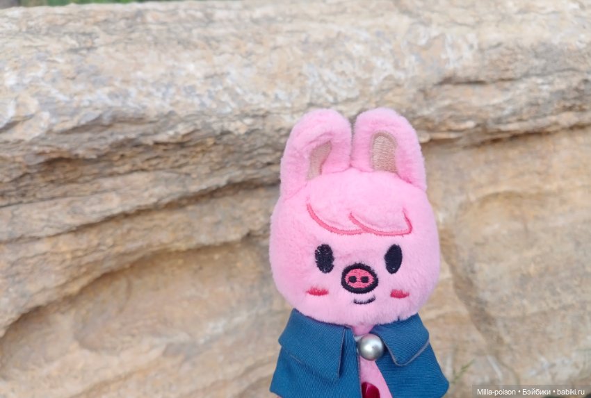 Dwaekki на прогулке в парке Нанчан (фото 4)