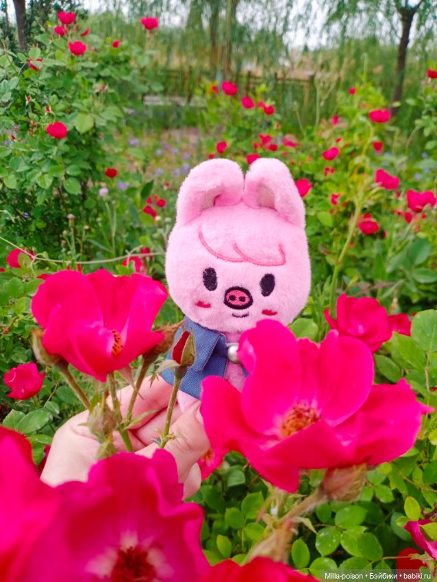 Dwaekki на прогулке в парке Нанчан