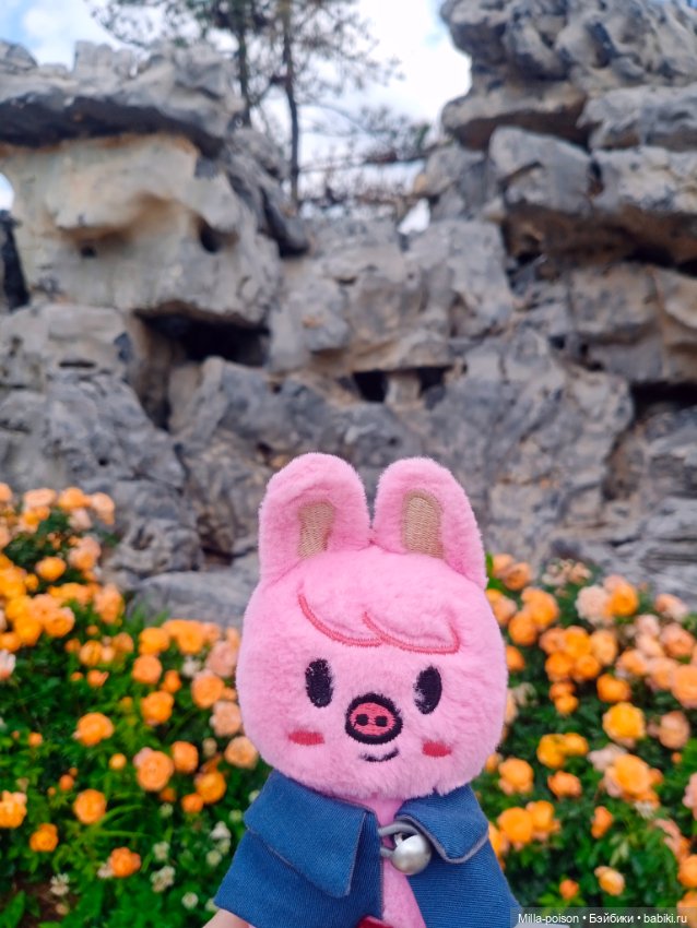 Dwaekki на прогулке в парке Нанчан (фото 10)