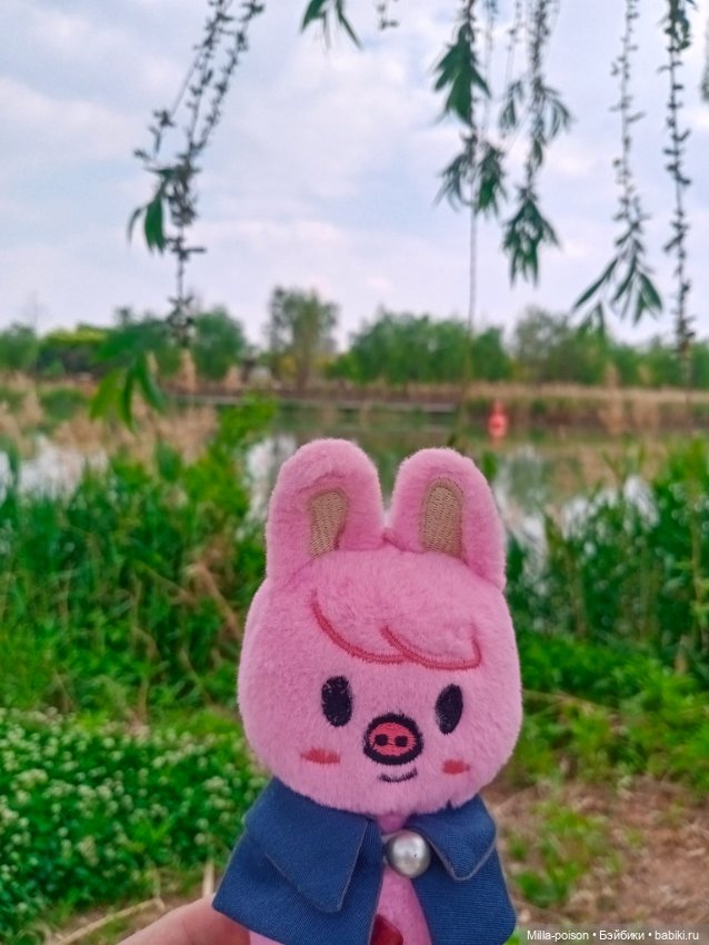 Dwaekki на прогулке в парке Нанчан