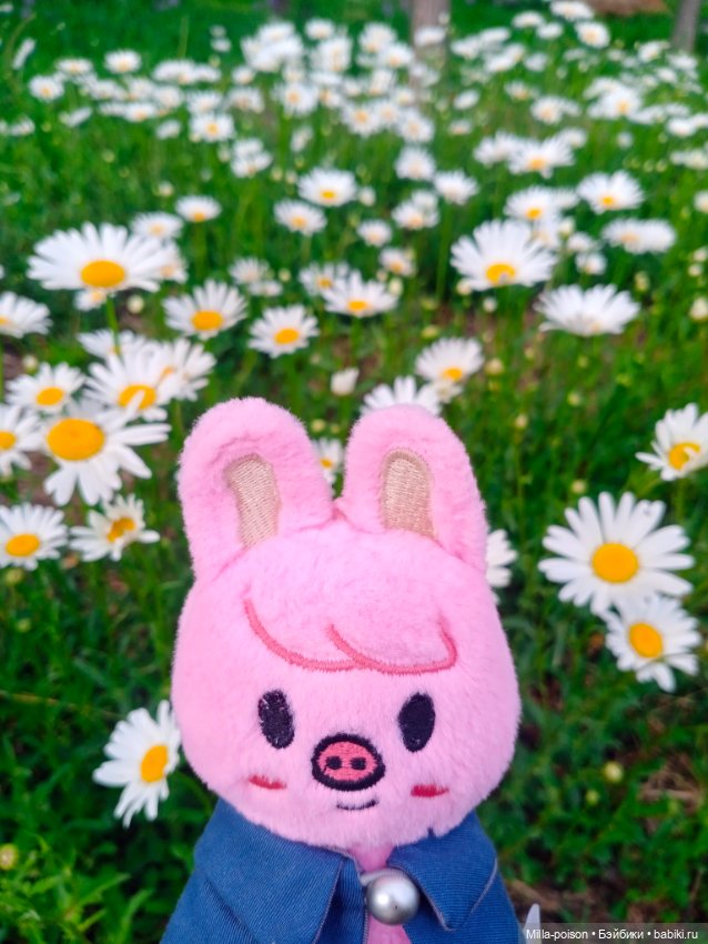 Dwaekki на прогулке в парке Нанчан (фото 6)