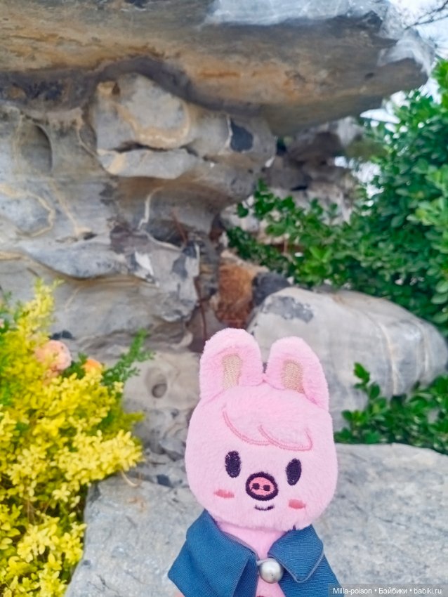 Dwaekki на прогулке в парке Нанчан (фото 8)