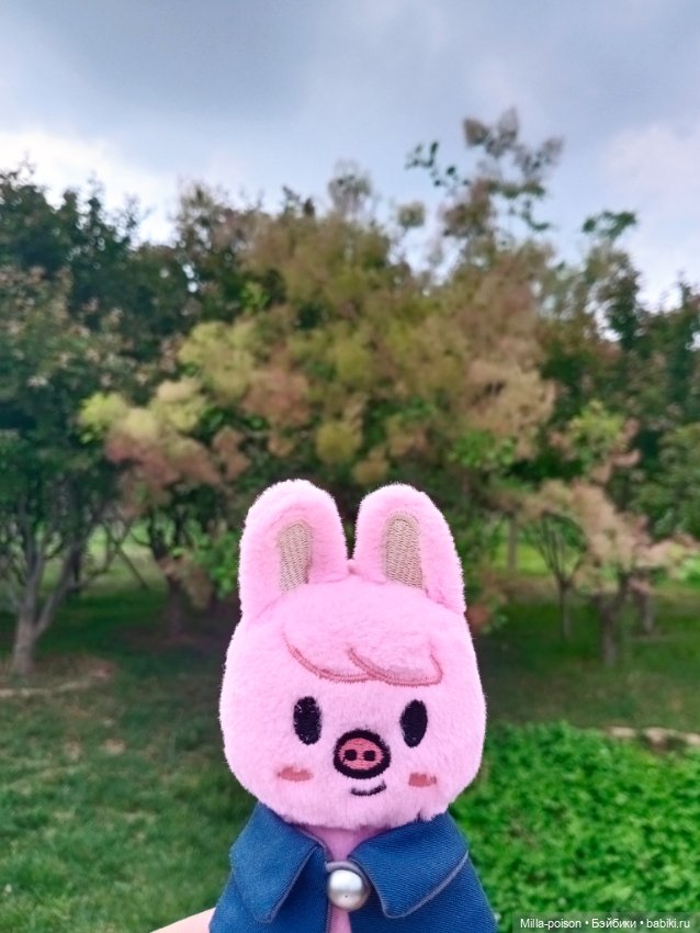 Dwaekki на прогулке в парке Нанчан (фото 7)