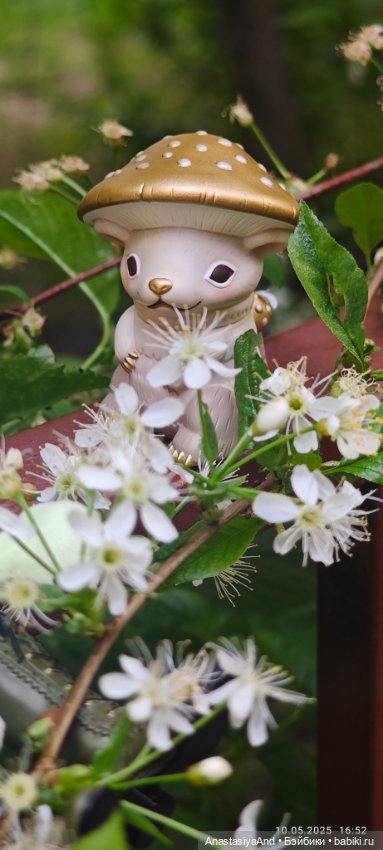 Несколько прогулок (в основном сегодня)