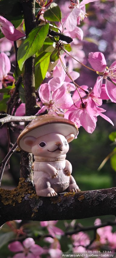 Несколько прогулок (в основном сегодня)