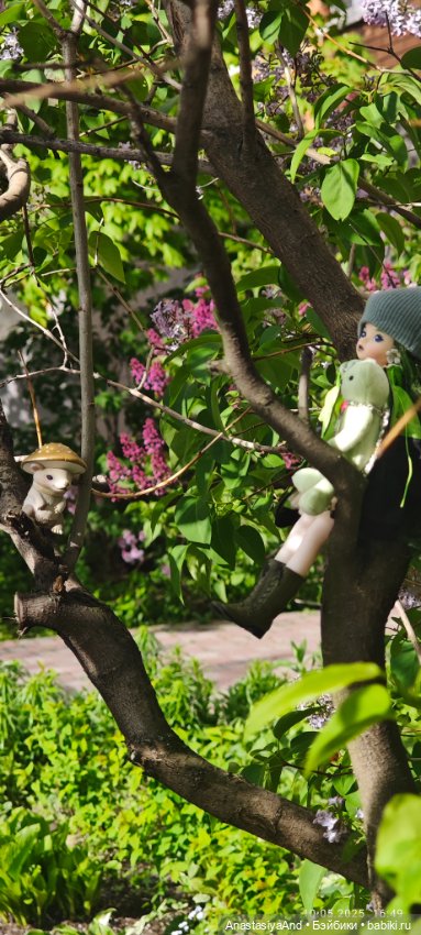 Несколько прогулок (в основном сегодня)