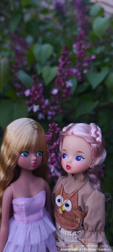 Несколько прогулок (в основном сегодня) (фото 7)