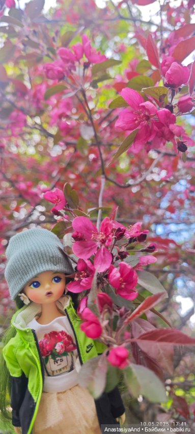 Несколько прогулок (в основном сегодня)