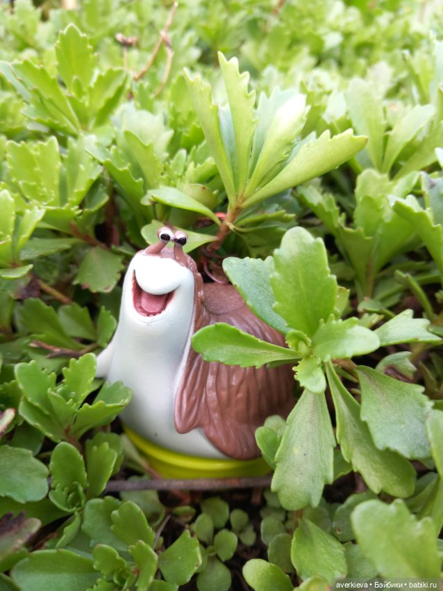 Просто Пумба. Просто красотаааа (фото 5)