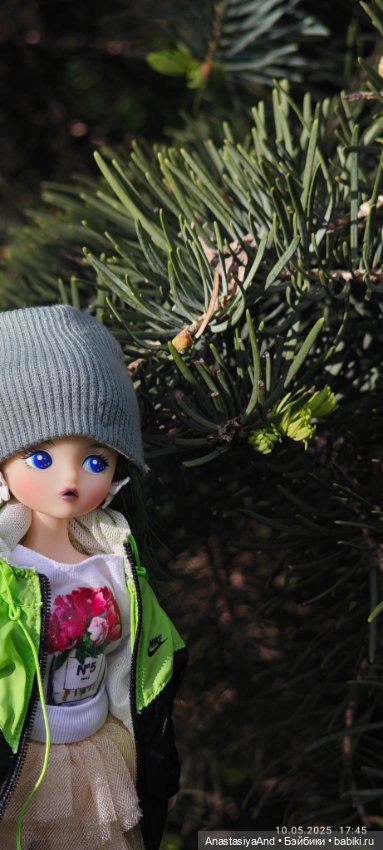 Несколько прогулок (в основном сегодня)