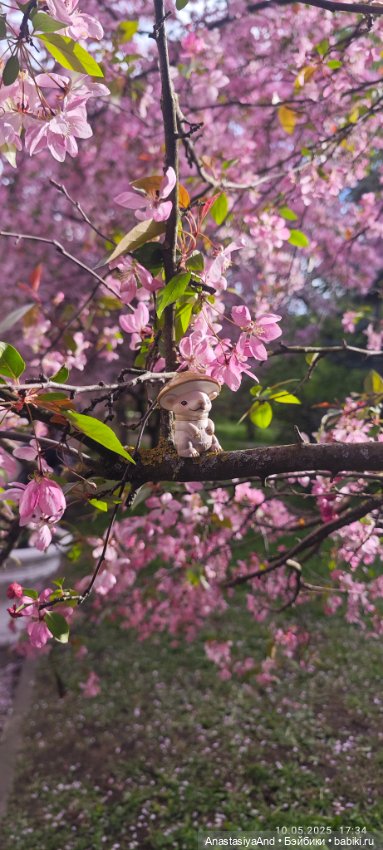 Несколько прогулок (в основном сегодня)