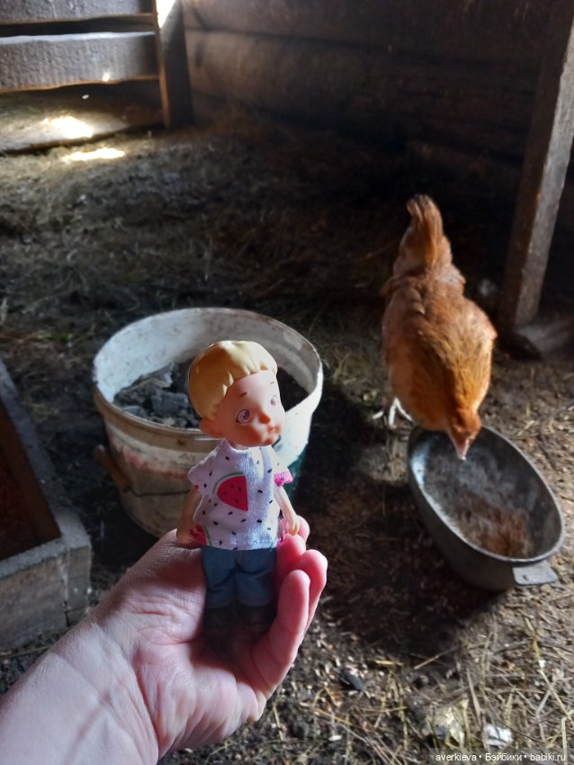 Бесстрашный Санька и куры (фото 3)