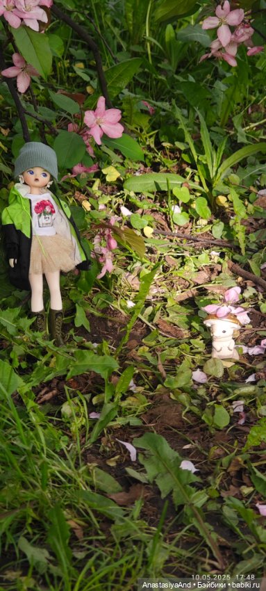 Несколько прогулок (в основном сегодня)