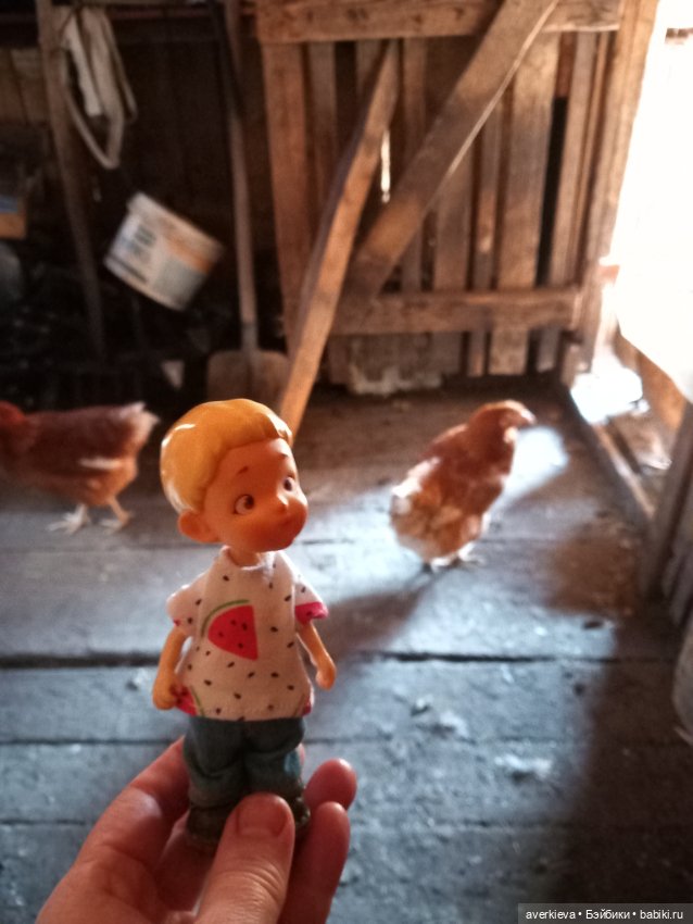 Бесстрашный Санька и куры