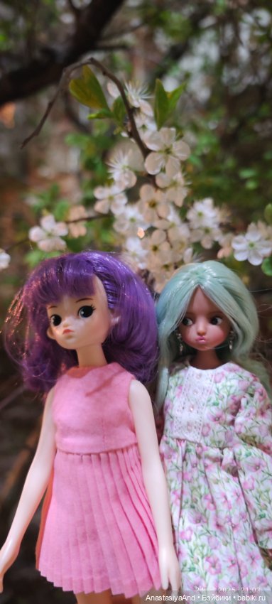 Несколько прогулок (в основном сегодня) (фото 2)