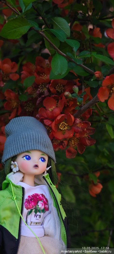 Несколько прогулок (в основном сегодня)