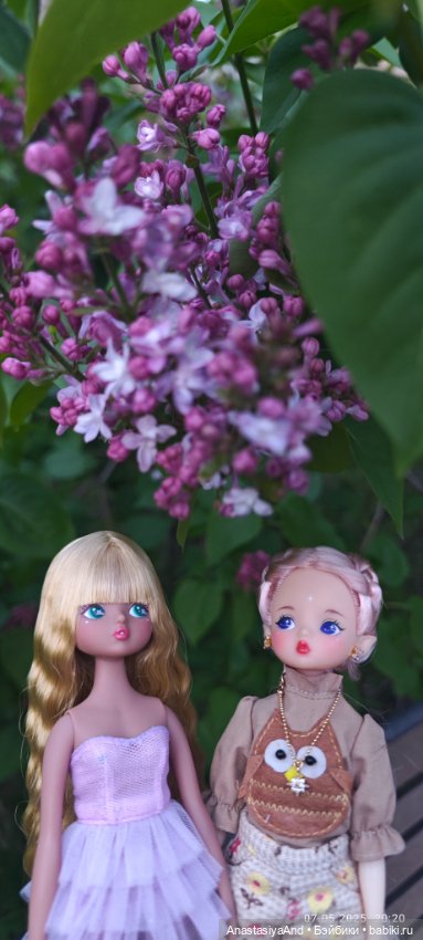 Несколько прогулок (в основном сегодня) (фото 4)