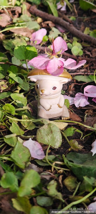 Несколько прогулок (в основном сегодня)