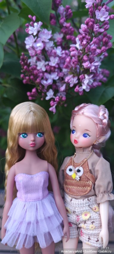 Несколько прогулок (в основном сегодня) (фото 6)