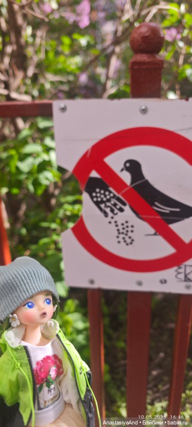 Несколько прогулок (в основном сегодня)