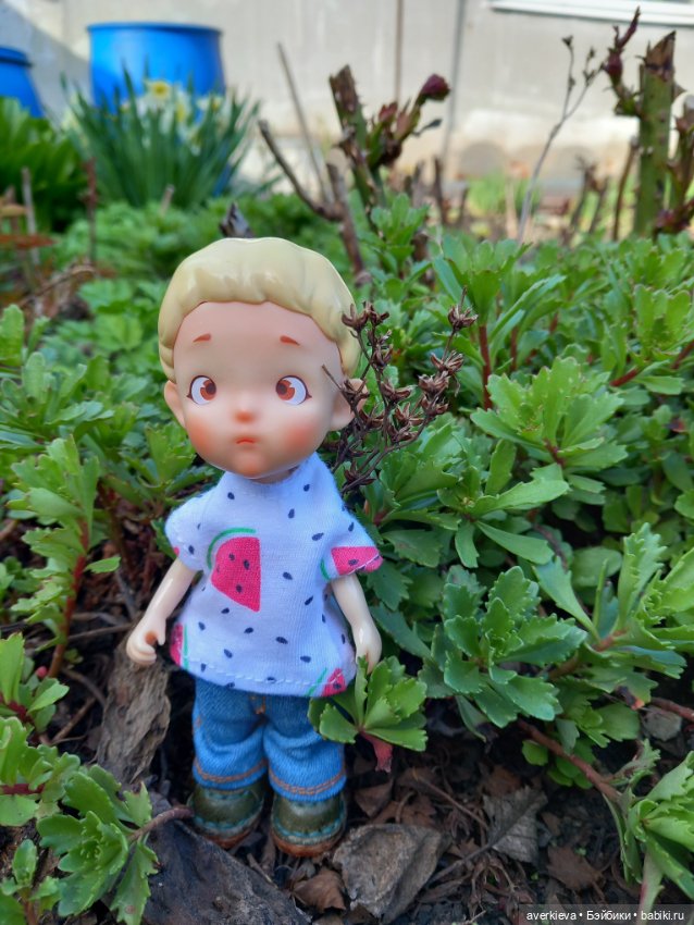 Бесстрашный Санька и куры (фото 7)